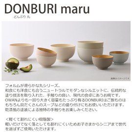 Takenaka Donburi Round Dry Lacquer Bowl, Made in Japan, Light Gray, Approx. 6.1 x 3.8 inches (15.6 x 9.6 cm) T-26625