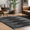 nuLOOM Bria Moroccan Shag Tasseled Area Rug - 4x6 Shag