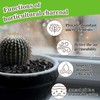 Sukh Sukh Horticultural Charcoal for Plants - 1Qt. Natural Earth
