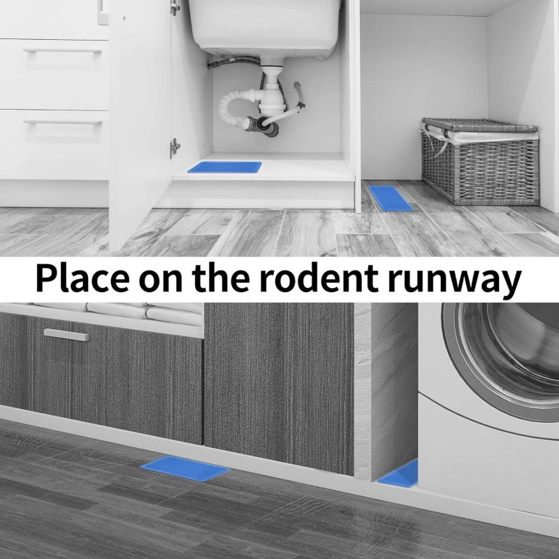 LULUCATCH Super Glue Traps 6 Pack for Mice & Snakes,