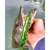 Rapala - Fishing bait precision Xtreme pencil plastic construction -