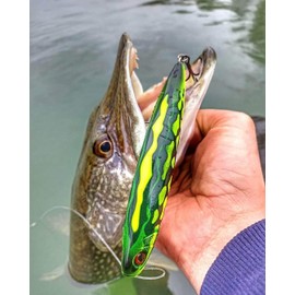 Rapala - Fishing bait precision Xtreme pencil plastic construction - floating freshwater bait - surface swimming depth - size 10.7 cm / 21g - made in Estonia - lime frog