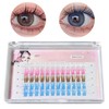 Partial False Eyelashes, Upper Eyelashes, 60 Bundles, Beginners, Self Eyelashes,