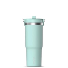 Hydrapeak Nomad 32 oz Tumbler with Handle and Straw Lid, Leakproof, Double Insulated, 32oz Cup Stainless Steel (Fresh Mint)