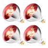 Zenhagu 250W R40 Red Heat Lamp Bulbs (4-Pack), Infrared Heat