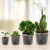 OUPSAUI OUPSAUI 36 Pack 7/6/5/3.5 Inch Clear Nursery Pots with