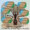 Fantastic Fungi Super 7 mushroom extract powder - Fantastic Fungi?