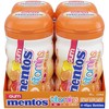 Mentos Gum with Vitamins, Sugar Free Chewing Gum with Xylitol,