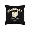 Awesome Sandusky Ohio Designs and Souvenirs Sandusky Ohio Distressed Design