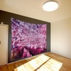 next.design Tapestry, Extra Large, Cherry Blossoms, Cherry Blossom Viewing, Night
