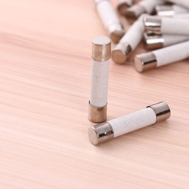 20Amp Universal Microwave Ceramic Tube Slow Blow Wire Ovens Fuses Parts 250V (100)
