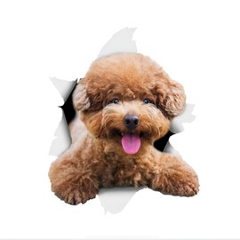 Car Sticker 25 cm (9.8 Inch) Poodle Sticker Funny Poodle Car Sticker Pet Dog Waterproof Sticker 3D Torn Metal Reflective Sticker Bumper Funny Decor