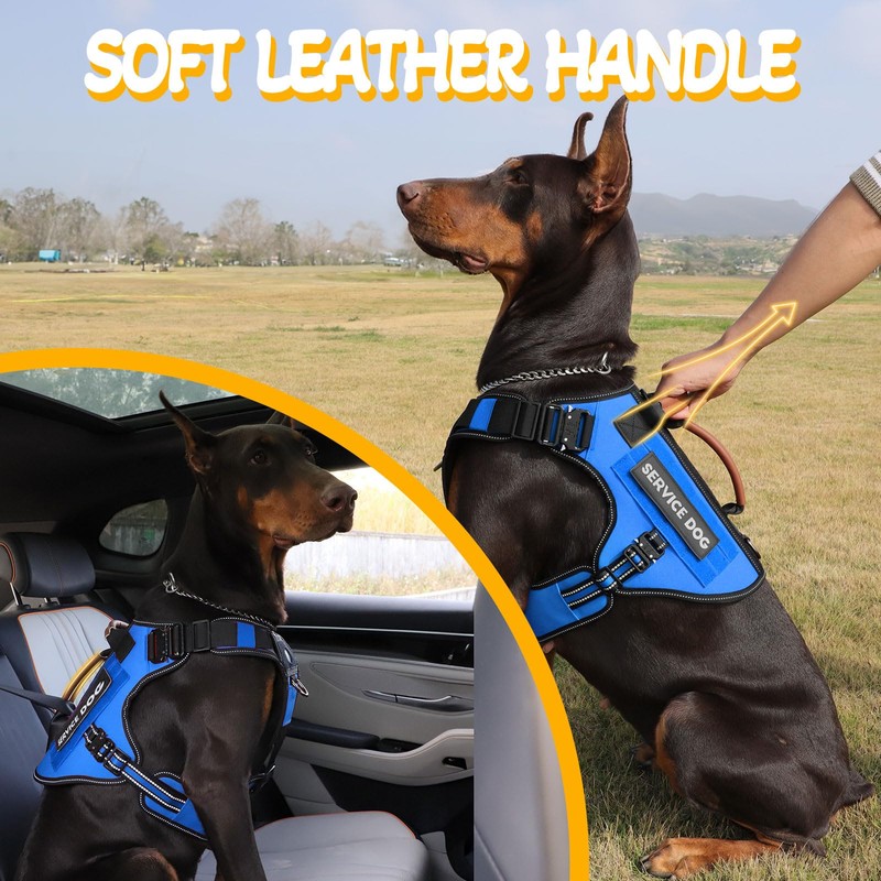 Service Dog Vest - HEYCAHVA Tactical Dog Harness Full Metal