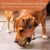 Wildfang® Chewing Root from The Heather Wood for Dogs, Dog