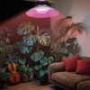 GT-Lite 33W LED Plant Grow Light Bulbs Full Spectrum with