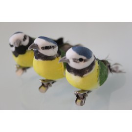 Gisela Graham: 3 feather Blue tit on clip,Christmas decoration, (set of 3) New for 2016