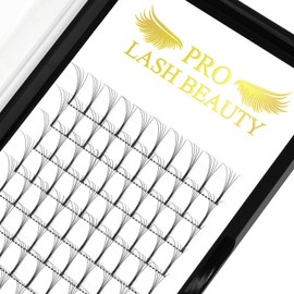 Pre Made Fan Eyelash Extensions 5D-D-0.07-8-15mix Long Stem Pre Fanned Russian Volume Lashes 0.07 0.10 Premade Fans Eyelash Extension C D curl Lash Extension 5D-D-0.07-8-15mix