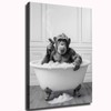 JJT Funny Bathroom Decor Chimpanzee in Bathtub Black and White