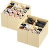SpaceAid Shoe Organizer for Closet, 2 Pack Foldable Shoe Storage