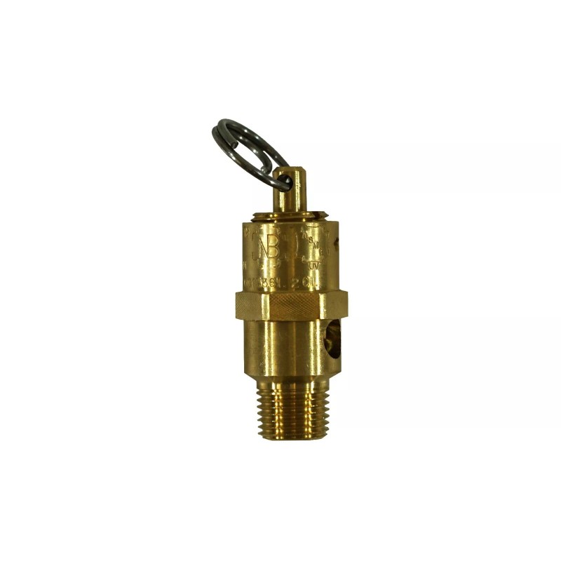 Kingston 1/8” NPT Brass Soft Seat Pressure Relief Valve 50