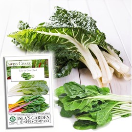 Silver Ice Swiss Chard, 300 Heirloom Seeds Per Packet, (Isla's Garden Seeds), Non GMO Seeds, Botanical Name: Beta vulgaris VAR. cicla