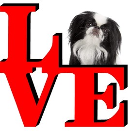 Japanese Chin Dog Love Park Cute Dog Fridge Refrigerator Car Magnet