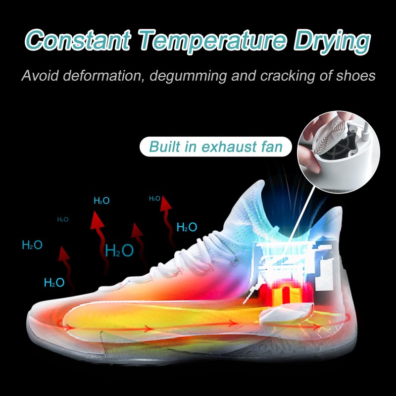 Home Care Wholesale Shoe Dryer and Deodorizer with Timer -