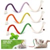 KDULPG Natural Catnip Chew Toy - 3 Pack | With
