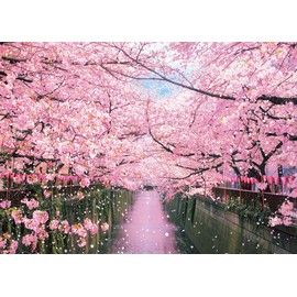 Beverly 600-017 Jigsaw Puzzle Meguro River Cherry Blossom Trees (15.0 x 20.9 inches (38 x 53 cm), Made in Japan