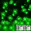 NewKoor St Patricks Day Decorations Lights - 2 Pack Battery