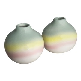 A K Lifestyle Mini Ombre Bud Vases Set of 2pcs