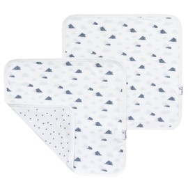 Copper Pearl Baby Security Blanket Set of 2 - Portable Size for Self-Soothing On-The-Go, Ideal Baby Blankets for Boys and Girls, Ultra-Soft, and Gift-Ready Loveys - Dream