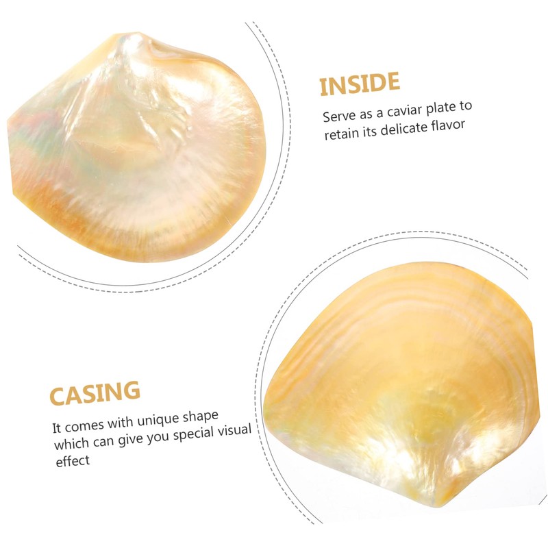 STOBAZA Shell Decorative Serving Plate Natural Shell Design for Home