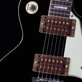 Ogdni Electric Guitar Humbucker Pickup Double Coil Alnico 5 Pickup Guitar Parts Replacement Neck and Bridge Set Rosewood