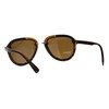 Unisex Aviator Sunglasses Retro Fashion Designer Style Aviators Tortoise, Brown