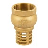 Foset PICHA-1-1/2 Pichancha with brass grid 1-1/2"