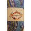 James Brett Fairground DK 100g G4