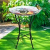 MUMTOP Glass Bird Baths for Outside, 16 Inch Width Outdoor