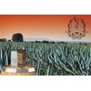 1810 Bálsamo Crecimiento Barba Bigote Estimula Fortalece Contiene Ingredientes 100