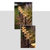 Solar Christmas Star Lights Outdoor Energy Saving Waterproof Solar Powered