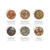 DAVIDsTEA Classic Faves Sachet Tea Wheel Tea Assortment, Bigger Ingredients