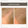 Joan Rivers Great Hair Day Root Touch Up Powder Duo