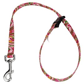 Country Brook Petz - 5/8 Inch Pink Paisley Grooming Loop with Quick Release Buckle with 14 Unique Designs