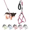 Mini Pig Harness, Adjustable Small Pig Harness with Leash Infinity
