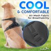 Dog Harness for Medium Dogs - Medium, Black - Soft-Padded