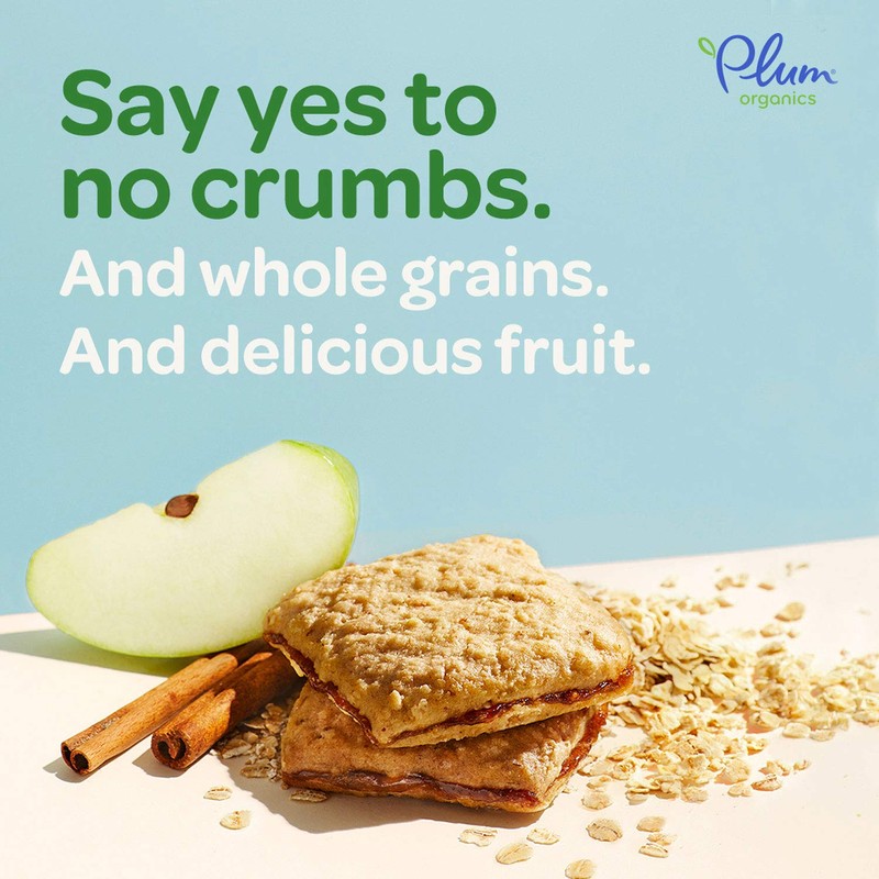 Plum Organics Kids Jammy Sammy Apple Cinnamon & Oatmeal, 1.02