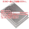 Low Noise, Reversible, Survival Sheet, A Portable, Aluminum Blanket For