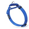 Strong Nylon Not Escapable Martingale Dog Collar for Medium Boy