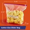 Hefty Slider Calendar Storage Bags, Gallon Size, 30 Count (Pack