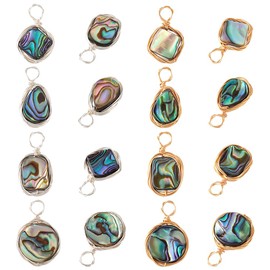 PH PandaHall Pack of 16 Natural Abalone Shell Pendants, 8 Styles, Paua Shell Charms, Rainbow Colours, Geometric Pendants with Wire, Wrapped Charms for Necklace, Earrings, Crafts